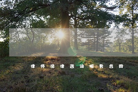 律师法律咨询服务合同 律师法律咨询服务合同