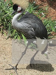律师法律咨询服务活动 律师法律咨询服务活动