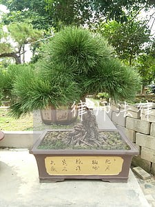 律师法律咨询的app 律师法律咨询的app