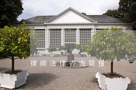 律师法律咨询简报 律师法律咨询简报
