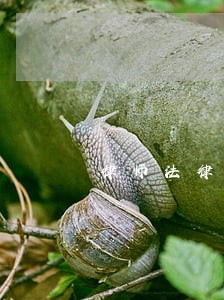 律师法律咨询酒吧 律师法律咨询酒吧