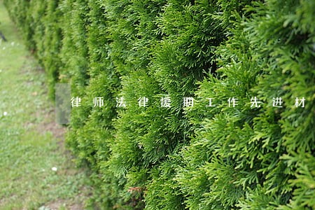 律师法律援助工作先进材料 律师法律援助工作先进材料