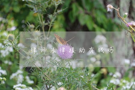 律师法律援助有钱吗 律师法律援助有钱吗