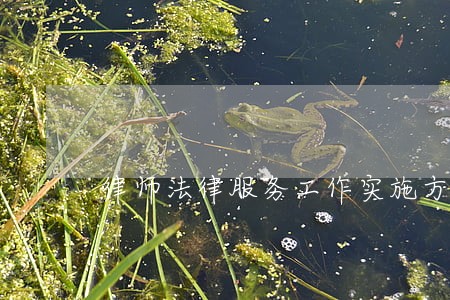 律师法律服务工作实施方案 律师法律服务工作实施方案