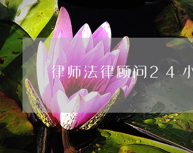 律师法律顾问24小时 律师法律顾问24小时
