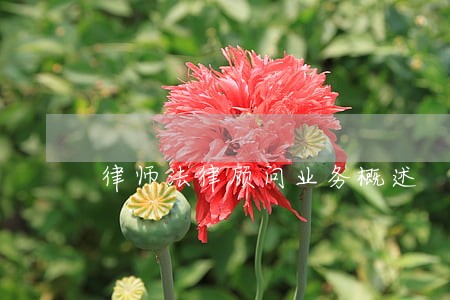 律师法律顾问业务概述 律师法律顾问业务概述