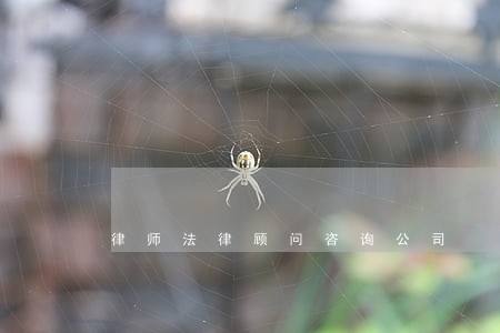 律师法律顾问咨询公司