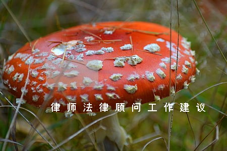律师法律顾问工作建议 律师法律顾问工作建议