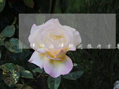 律师法律顾问报价方案 律师法律顾问报价方案