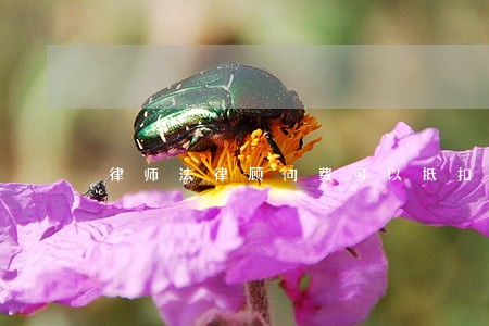 律师法律顾问费可以抵扣吗 律师法律顾问费可以抵扣吗