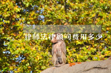 律师法律顾问费用多少 律师法律顾问费用多少