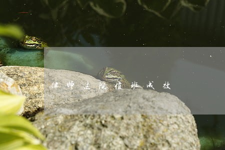 律师法院值班成效