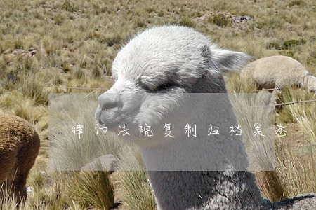 律师法院复制归档案卷 律师法院复制归档案卷