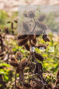 律师温馨提示图 律师温馨提示图