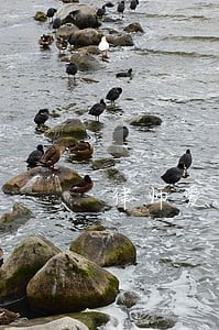 律师爱情从来不以死亡为终点 律师爱情从来不以死亡为终点