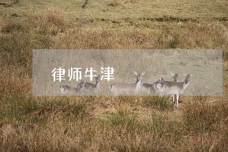 律师牛津 律师牛津