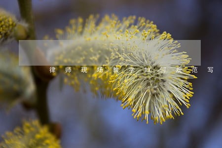 律师现场教学如何规范写借条 律师现场教学如何规范写借条