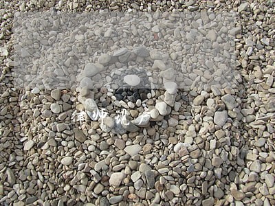 律师现户 律师现户