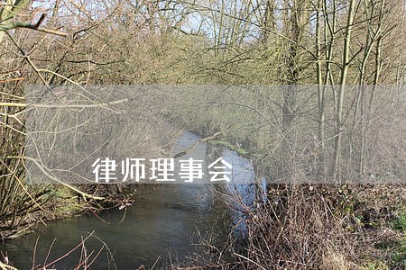 律师理事会 律师理事会