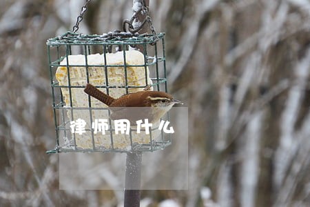 律师用什么