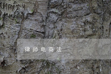 律师电商法 律师电商法