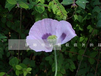 律师电话催收债务的技巧 律师电话催收债务的技巧