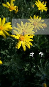 律师男渣不渣 律师男渣不渣