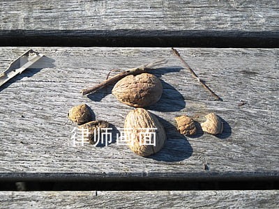 律师画面 律师画面