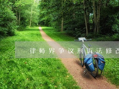 律师界争议刑诉法修改 律师界争议刑诉法修改