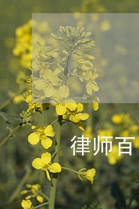 律师百问百答题 律师百问百答题