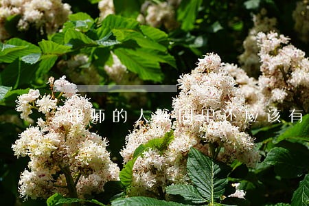 律师的人脉圈里还应该有这两种人 律师的人脉圈里还应该有这两种人