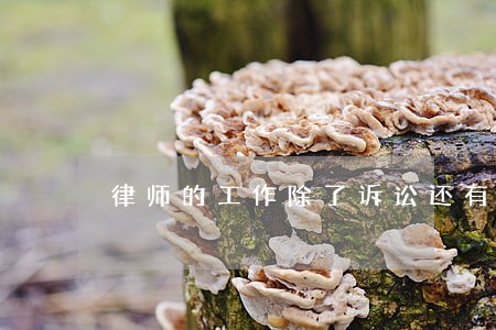 律师的工作除了诉讼还有什么 律师的工作除了诉讼还有什么