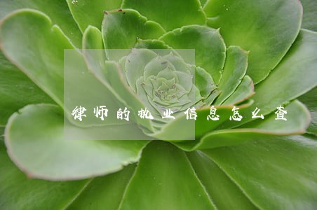 律师的执业信息怎么查 律师的执业信息怎么查