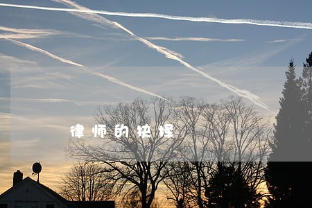 律师的抉择 律师的抉择