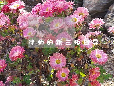 律师的新三板督导 律师的新三板督导