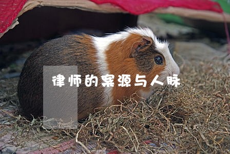 律师的案源与人脉 律师的案源与人脉