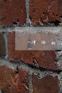 律师的法律法则