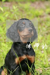 律师的理想爱人是什么类型的女人 律师的理想爱人是什么类型的女人