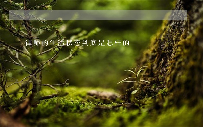 律师的生活状态到底是怎样的