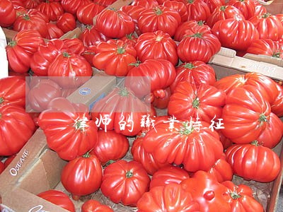 律师的职业特征 律师的职业特征