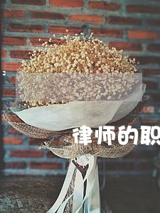 律师的职责是什么 律师的职责是什么