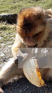 律师的行业好工作 律师的行业好工作