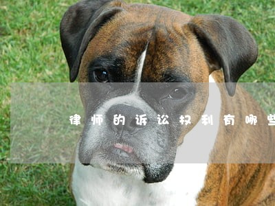 律师的诉讼权利有哪些条件 律师的诉讼权利有哪些条件