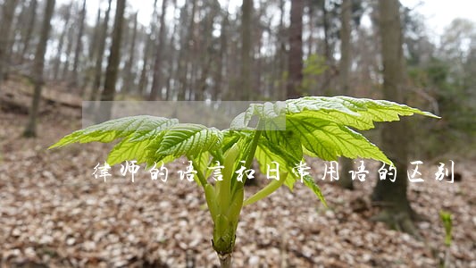 律师的语言和日常用语的区别 律师的语言和日常用语的区别