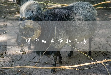 律师的责任和义务