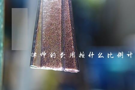 律师的费用按什么比例计算器 律师的费用按什么比例计算器