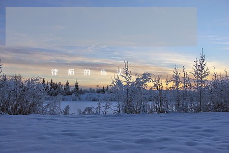 律师的违法 律师的违法