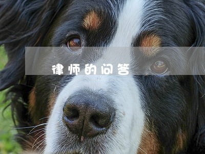 律师的问答 律师的问答