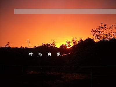 律师真狠 律师真狠
