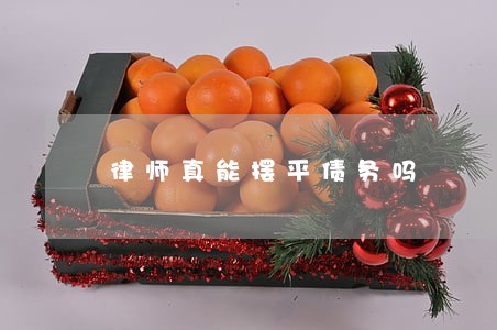 律师真能摆平债务吗 律师真能摆平债务吗